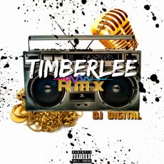Extended - Timberlee RMX - (Feat Digital)